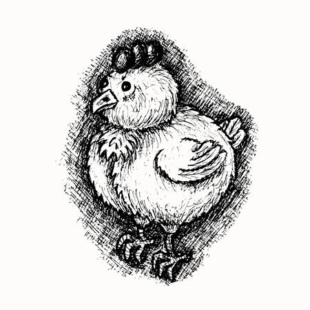 Newborn chicken hand drawn vector sketch isolated on the white backgroundのイラスト素材