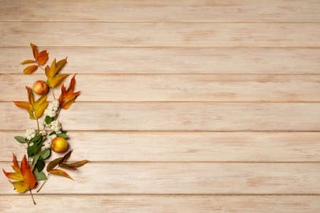 Thanksgiving snowberry, red and green fall leaves on the white painted wooden background, copy spaceの写真素材