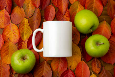White coffee mug on the red yellow fall leaves background mockup with green apples. Empty mug mock up for design promotion, styled templateの写真素材