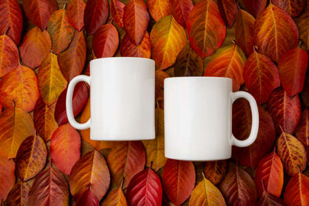 Two coffee white mugs on the red fall leaves background mockup. Empty mug mock up for design promotion, styled templateの写真素材