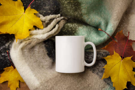 White coffee mug mockup with cozy woolen scarf and fall maple leaves. Empty mug mock up for design promotion, styled templateの写真素材