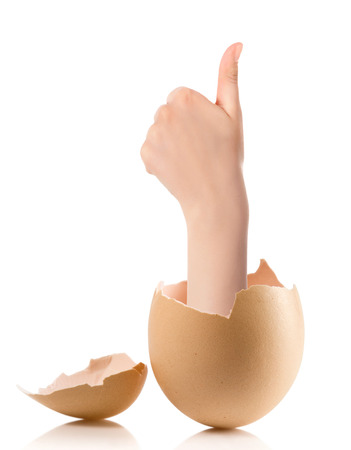 Hand with broken egg isolated on white backround. Business Concept Close Up of Hand Show Thump Up Sign for Agreement Sign Isolated on White Background.の写真素材