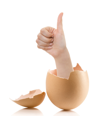 Hand with broken egg isolated on white backround. Business Concept Close Up of Hand Show Thump Up Sign for Agreement Sign Isolated on White Background.の写真素材