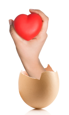 Hand with broken egg isolated on white backround. Heart in the handsの写真素材