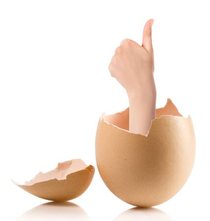 Hand with broken egg isolated on white backround. Business Concept Close Up of Hand Show Thump Up Sign for Agreement Sign Isolated on White Background.の写真素材