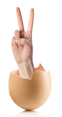 Hand with broken egg isolated on white backroundの写真素材