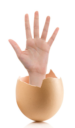 Hand with broken egg isolated on white backroundの写真素材