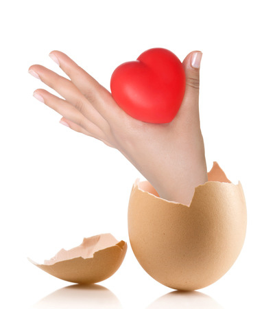Hand with broken egg isolated on white backround. Heart in the handsの写真素材