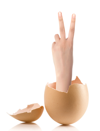 Hand with broken egg isolated on white backroundの写真素材