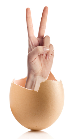 Hand with broken egg isolated on white backroundの写真素材
