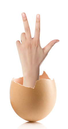 Hand with broken egg isolated on white backround.adult female hand holding three fingers in the air spread apart, (with clipping path)の写真素材