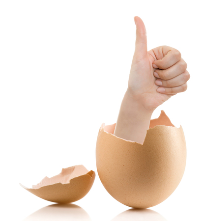 Hand with broken egg isolated on white backround. Business Concept Close Up of Hand Show Thump Up Sign for Agreement Sign Isolated on White Background.の写真素材