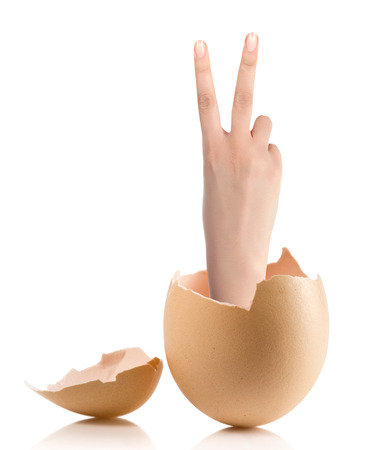 Hand with broken egg isolated on white backroundの写真素材