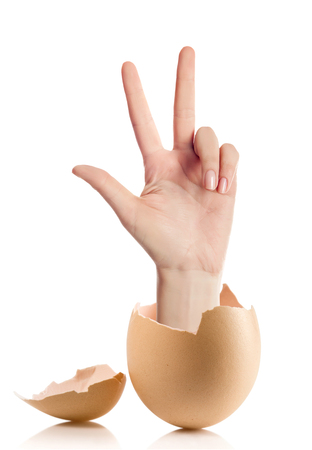 Hand with broken egg isolated on white backround.adult female hand holding three fingers in the air spread apart, (with clipping path)の写真素材
