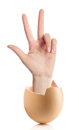 Hand with broken egg isolated on white backround.adult female hand holding three fingers in the air spread apart, (with clipping path)の写真素材