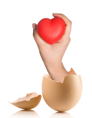 Hand with broken egg isolated on white backround. Heart in the handsの写真素材
