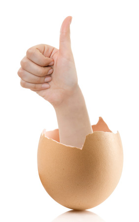 Hand with broken egg isolated on white backround. Business Concept Close Up of Hand Show Thump Up Sign for Agreement Sign Isolated on White Background.の写真素材