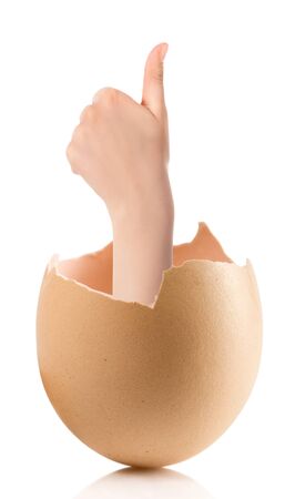 Hand with broken egg isolated on white backround. Business Concept Close Up of Hand Show Thump Up Sign for Agreement Sign Isolated on White Background.の写真素材