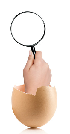 Hand with broken egg isolated on white backroundの写真素材