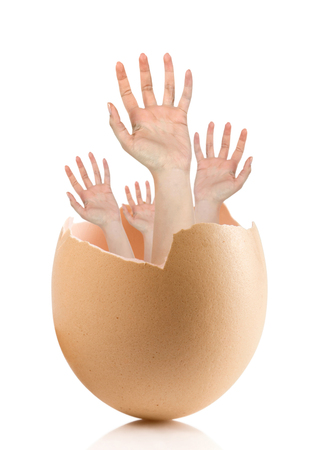 Hand with broken egg isolated on white backroundの写真素材