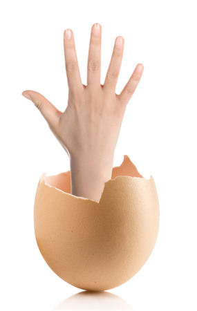 Hand with broken egg isolated on white backroundの写真素材
