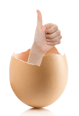 Hand with broken egg isolated on white backround. Business Concept Close Up of Hand Show Thump Up Sign for Agreement Sign Isolated on White Background.の写真素材