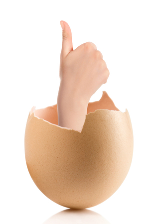 Hand with broken egg isolated on white backround. Business Concept Close Up of Hand Show Thump Up Sign for Agreement Sign Isolated on White Background.の写真素材