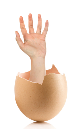 Hand with broken egg isolated on white backroundの写真素材
