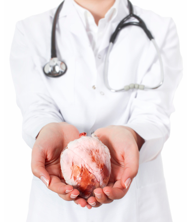 Medical concept. Female doctor with real heart in hands.の写真素材