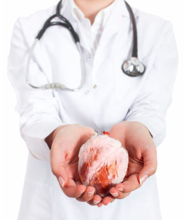 Medical concept. Female doctor with real heart in hands.の写真素材