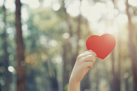 Woman hands holding red heartの写真素材