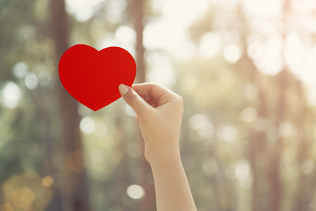 Woman hands holding red heartの写真素材