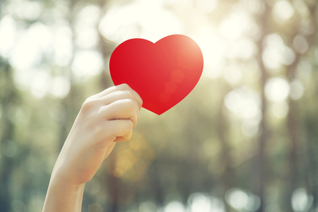 Woman hands holding red heartの写真素材