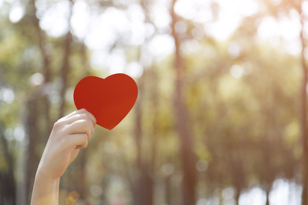 Woman hands holding red heartの写真素材