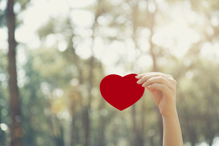 Woman hands holding red heartの写真素材