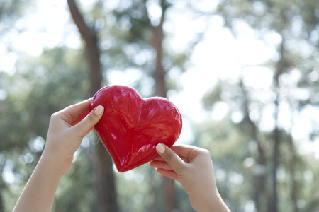 Woman hands holding red heartの写真素材