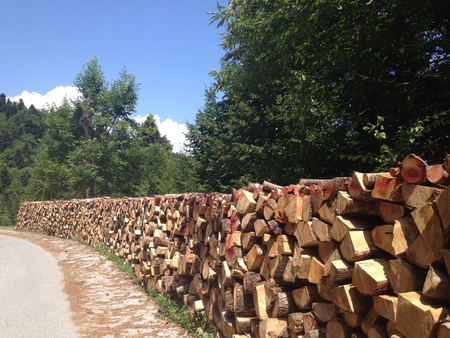 pile of cut woodsの写真素材
