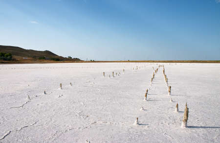 alkali soil and old wood columnsの写真素材