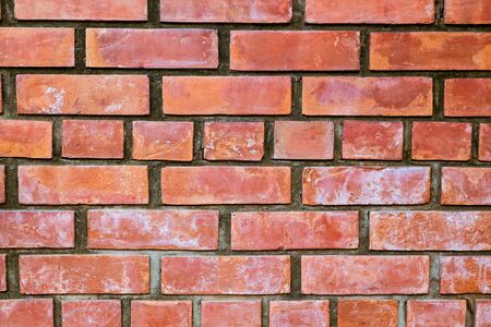 Bricks wall background