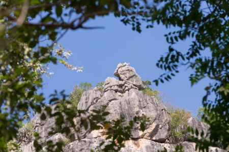 mountain cliff framing with treesの写真素材