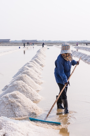 People piling up sea salt in farmの写真素材