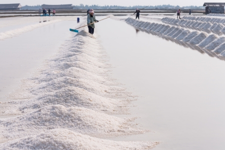 People piling up sea salt in farmの写真素材