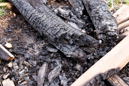 Burnt timber wood