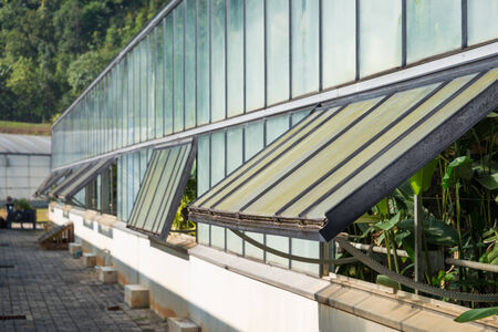 greenhouse glass windows openの写真素材