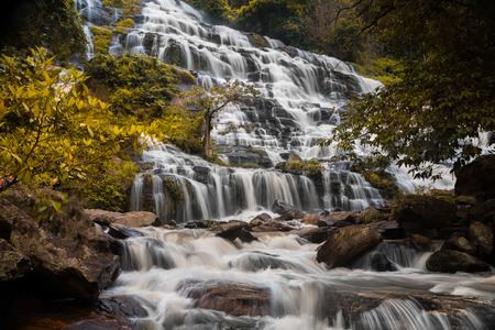 autumn tree yellow leaves silky smooth waterfall, long exposure