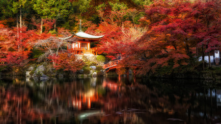 Panorama of Bentendo hall inside Daigo Ji temple with autumn red meple leaves tree in Kyoto, Japanのeditorial素材
