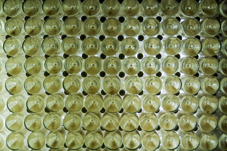 The bottom of the bottles with champagne at the fermentation stageの写真素材