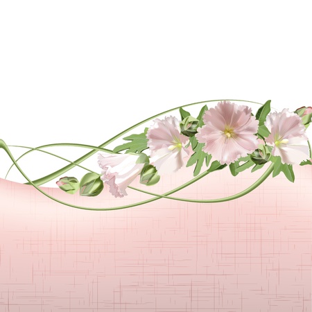 Floral card with mallow flowers backgroundのイラスト素材