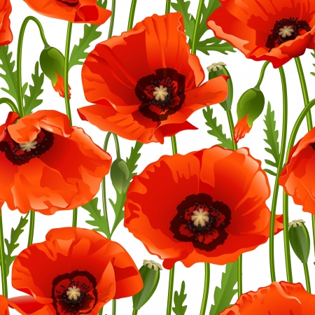 Poppy seamless pattern. Vector illustrationのイラスト素材