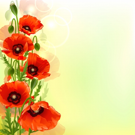 Poppy background. Vector illustrationのイラスト素材
